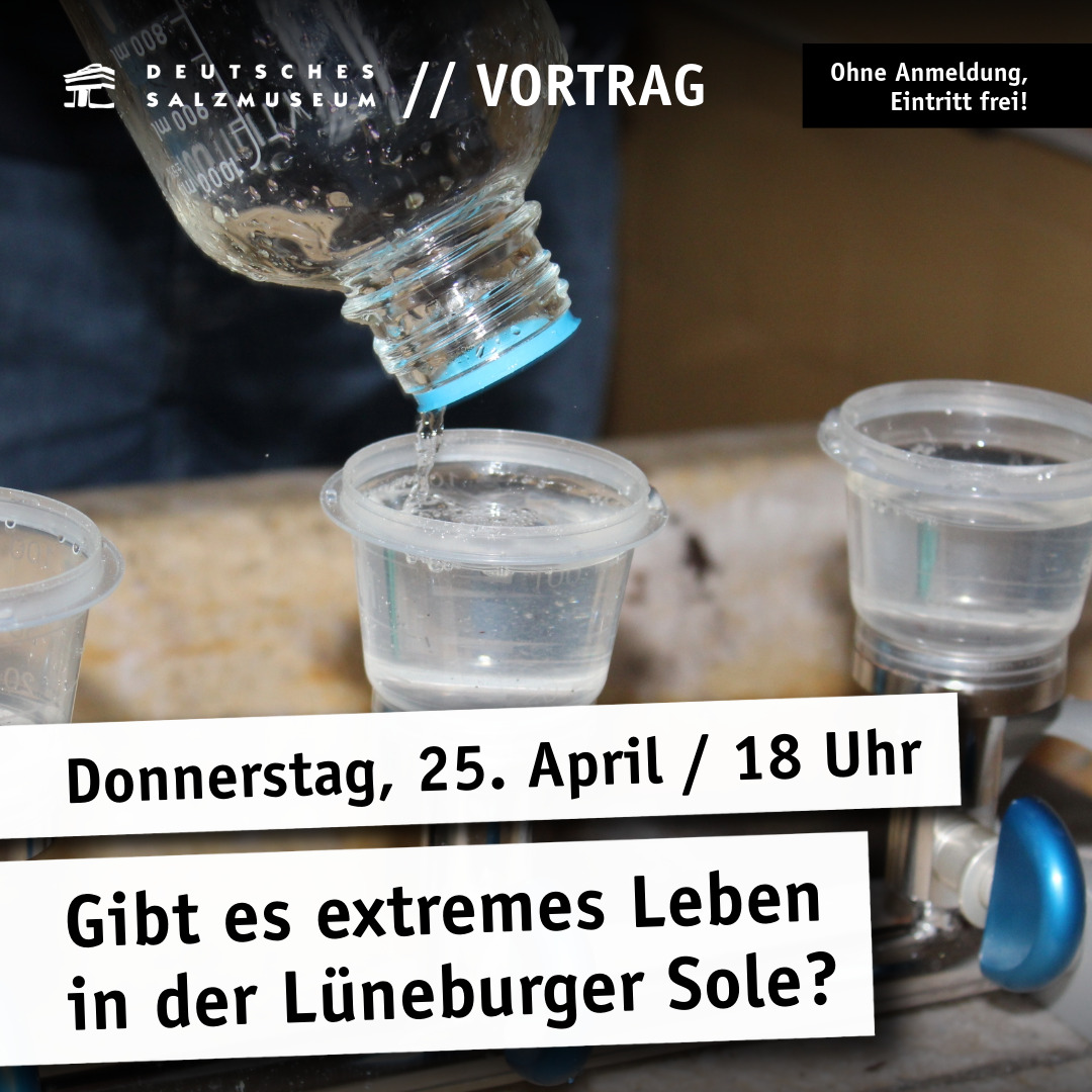 Sole wird in ein Gefäß für Experimente gefüllt. Dazu der Textblock: "Deutsches Salzmuseum / Vortrag / Ohne Anmeldung, Eintritt frei! / Donnerstag, 25. April / 18 Uhr / Gibt es extremes Leben in der Lüneburger Sole?"
